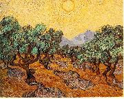 Vincent Van Gogh, Olive Trees with Yellow Sky and Sun